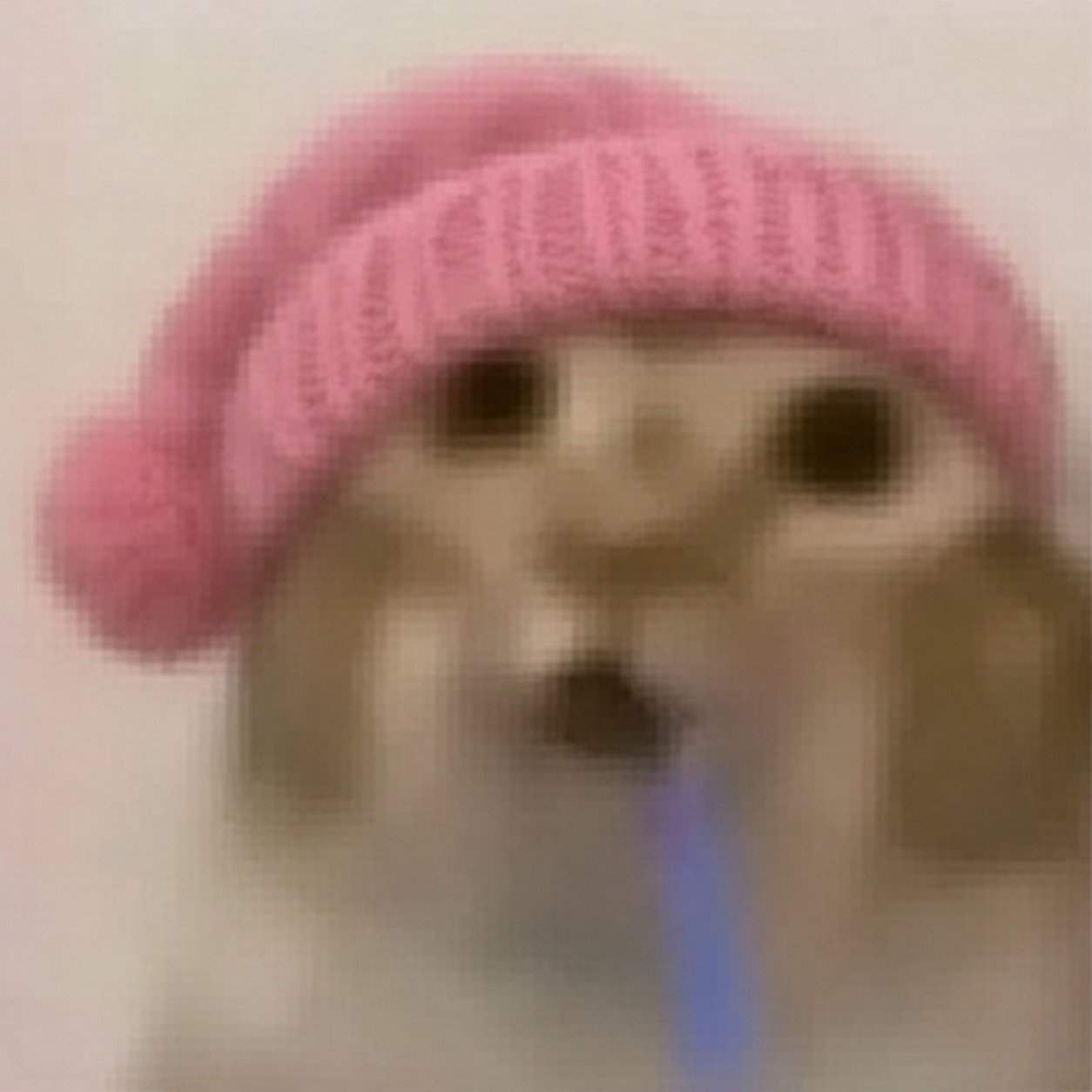Drooling cat with pink hat