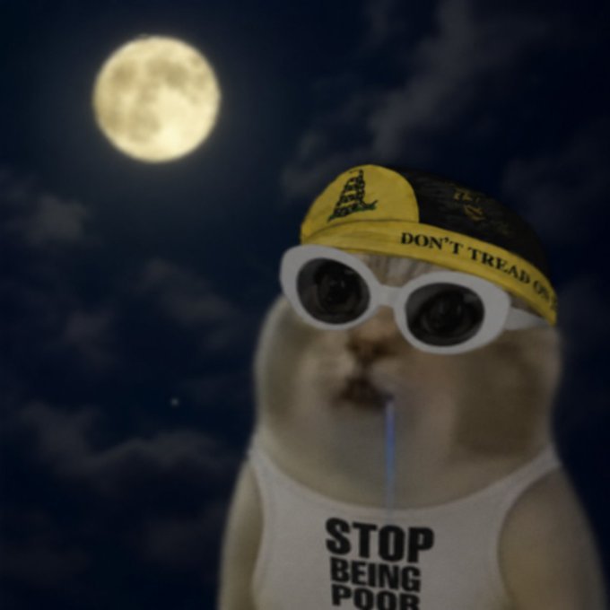 Drooling cat meme 6